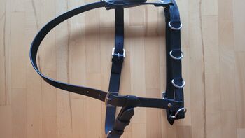 Kappzaum "Basic" Größen  Cop oder Full     Nagelneu, Kappzaum, Una (Horse-design), Lunging, Rot am See