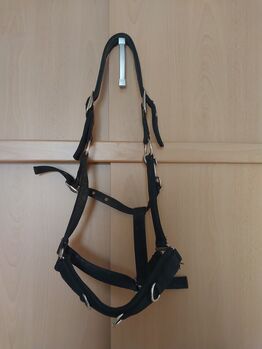 Kappzaum full schwarz, Powerhorse, Lonżowanie, Ziemetshausen
