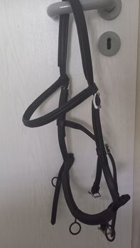 Kappzaum Leder / Vollblut   Versand inkl., Susann, Lunging, Netzschkau