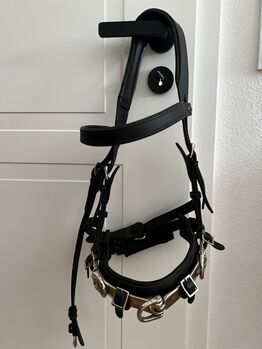 Kappzaum Leder Gr. VB Cob, Loesdau Comfort, L. Anders, Lunging, Gondenbrett