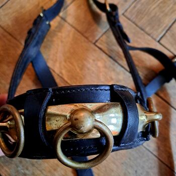 Kappzaum Loesdau Profi Warmblut Loesdau  Kappzaum Profi Warmblut 