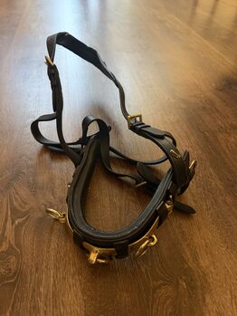 Kappzaum Loesdau WB Loesdau Kappzaum Loesdau