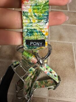 Kappzaum Pony Felix Bühler