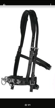 Kappzaum WB/Full mit Gebissriemen NEU