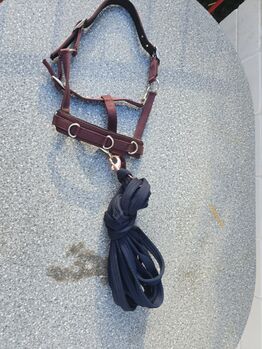 Kappzaum mit Longe, Felix Bühler  Kappzaum mit Longe , M. Sieler, Lonżowanie, Langenfeld