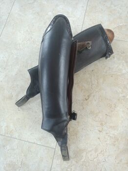 Celeris Chaps Dressage, Celeris Chaps Dressage, Sarina, Half Chaps, Ingolstadt 