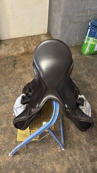 Kentaur Apollon Kentaur  Apollon