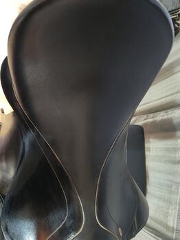 Kentaur Young Dressage 16"/3 Kentaur  Young Dressage 