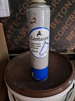 Centaura Spray, Doreen , Pielęgnacja konia, Bernburg 