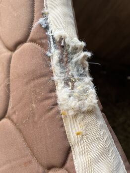 CeraTex Schabracke Dressur CeraTex  Dressurschabracke 