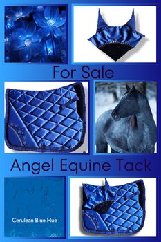 Cerulean blue set Angel Equine 