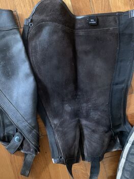 CHAPS 4 riders, gebraucht, günstig abzugeben For riders Chaps classic dunkelbraun