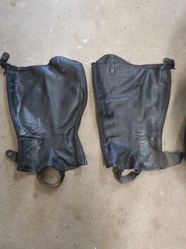 Kunstlederchaps, Pia, Half Chaps, Emsdetten