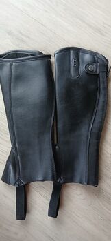 Chaps Crystal Gr KM Steeds 