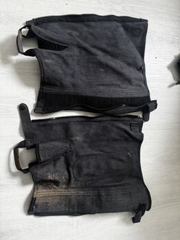 Chaps Gr. L, Celine Baum, Half Chaps, Taunusstein 