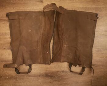 Chaps Größe S Braun, Isabella K. , Half Chaps, Mittweida 