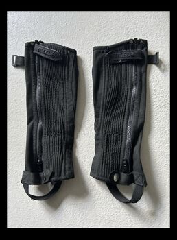 Chaps Steeds Gr KS, Steeds, Christa, Half Chaps, Olten