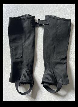 Chaps Steeds Gr KS Steeds