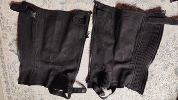 Chaps, Größe M, A. Schön, Half Chaps, Karben