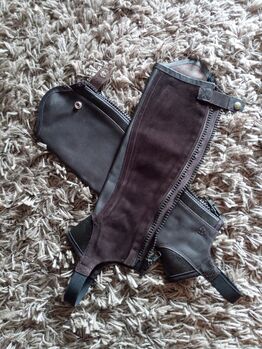 Chaps von Ariat, Ariat Concord Chap XSM, Aline Betz, Half Chaps, Stegen