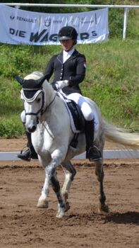 Charming Welsh Pony with Talent, Heart & Style, edss Lilian, Horses For Sale, Bentleigh