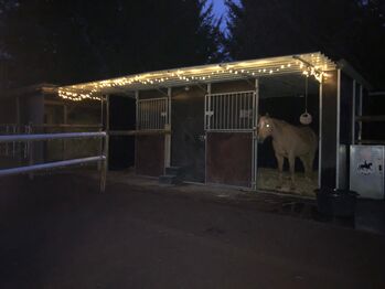 Weidehütte incl Tränken, Matten, Lampen etc, Michael, Schroniska i namioty dla koni, Ettringen