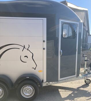 Cheval Liberte Gold Origin Prämium Alu Linie Cheval Liberte  Gold 