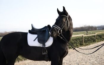 Schicke Dressurprinzessin