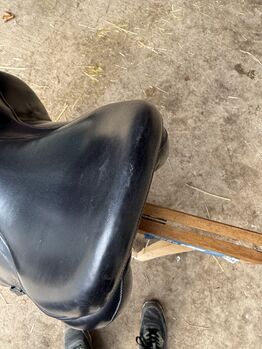 Childeric Dressursattel DSC 175 in Sitzgröße 18 Zoll Childeric DSC 175 