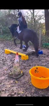 Therapie Kinderpony