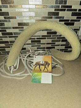 Choice Masters Brand Horse Lunging System Choice Masters Pessao