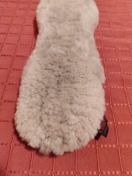 Christ Lammfellgurt 50 cm, Christ  Lammfellgurt , Patricia, Girths & Cinches, Meinersen 