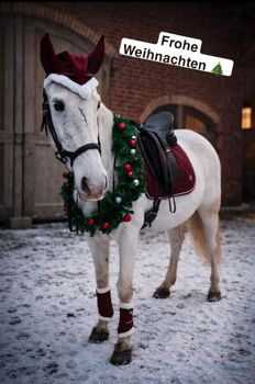 Weihnachts - Set Lila Glitzer Neu 5tlg., Powerhorse, Dressage Pads, Ziemetshausen
