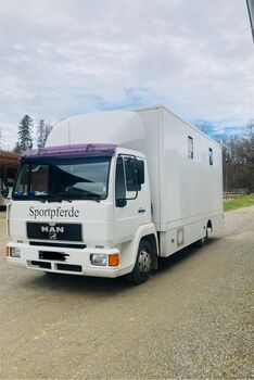 Pferde-LKW / Pferdetransporter 7,5t, MAN, S.M., Przyczepa konna, Friedrichshafen 
