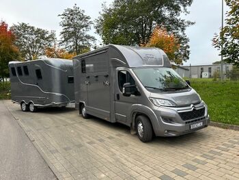 Citroën Pferdetransporter Gespann mit B/E Führerschein Viehtransporter Tiertransporter Selbstfahrer, Dickenherr Citroen Jumper Dickenherr, Gerhard Strobel (Dickenherr Trucks und Trailers), Horse Trailers, Baden-Württemberg - Unterschneidheim
