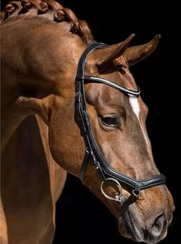 CLARIDGE HOUSE Zaum Soft & Anatomical, Claridge House Soft & Anatomical, Jessy B. , Bridles & Headstalls, Jettenbach