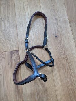 Claridgehouse Lederhalfter Cob, Claridgehouse , ponymausi, Halfter, Naumburg