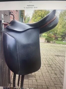 Cobra Gangpferdesattel, Cobra Gangpferdesattel, Anke Lengert, Icelandic Saddle, Eversmeer