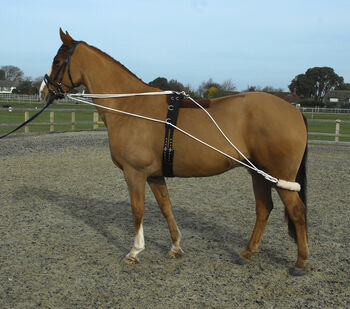 Complete training aid with roller included, Rhinegold, Eileen Belshaw, Pozostałe, Lisburn