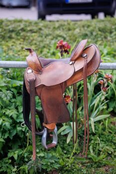 Continental 170, Continental 170, Josy, Western Saddle, Pfatter