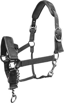 Control headcollar, Mitchell Moor, Halfter, Cheltenham 