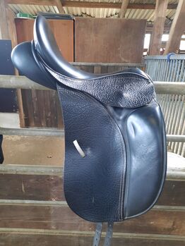 County Dressursattel, County Connection, Alexandra Schmidt, Dressage Saddle, Cuxhaven