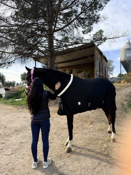 couverture d'écurie - blanket - 200 gr - New, Trotando Juntos  Blanket comfort fit, Maite (Productos Ecuestres Trotando Juntos S.L), Pferdedecken, Palau solita y plegamans