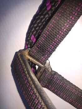 Covalliero goleygo Halfter mit Strick schwarz/Fuchsia Pony Covalliero 