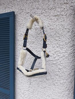 Covalliero Halfter Fell grau, Covalliero , Corinna Stemplinger , Halters, Obernzell