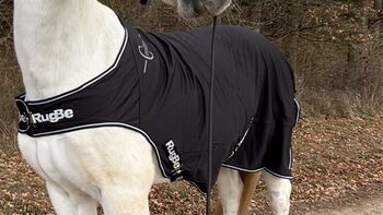 Covalliero RugBe Führanlagendecke / Walker Decke  145cm schwarz, Covalliero  Führanlagendecke , Milena , Horse Blankets, Sheets & Coolers, Herrenberg