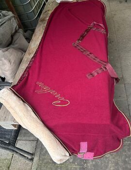 Covalliero Abschwitzdecke, Covalliero  Abschwitzdecke , Amy Vogler, Horse Blankets, Sheets & Coolers, Ibbenbüren