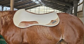 CS Filzpad Butterfly, CS Butterfly , Caro, Westernpads, Besigheim