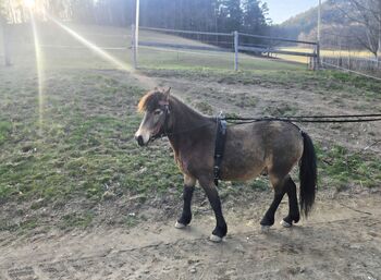 Süßer Kerl mit Persönlichkeit