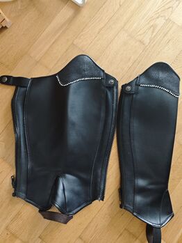 Chaps Grösse s Felix Bühler 